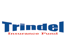 logo_trindel