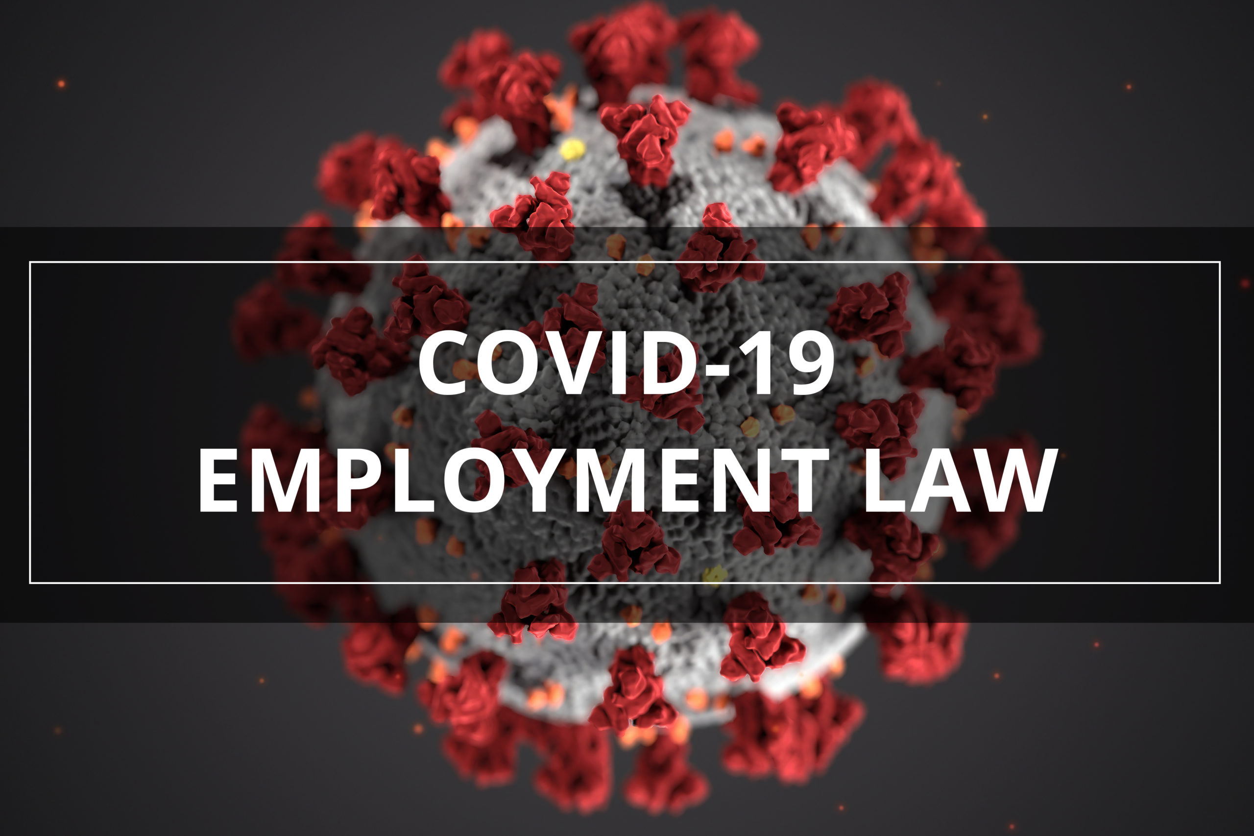 COVID-19 Employment Law - Shaw Law Group