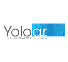 Yolo Logo